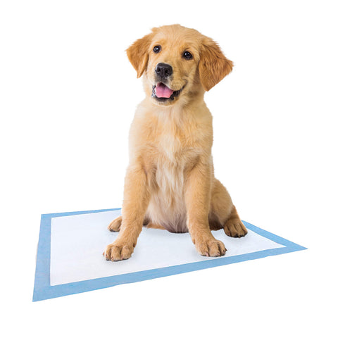Pets Toilet Training Pads Super absorbent 100PCS 200PCS 400PCS 60x60CM